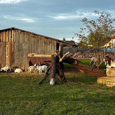 Ferienwohnung Peters Hünfeld Exterior foto